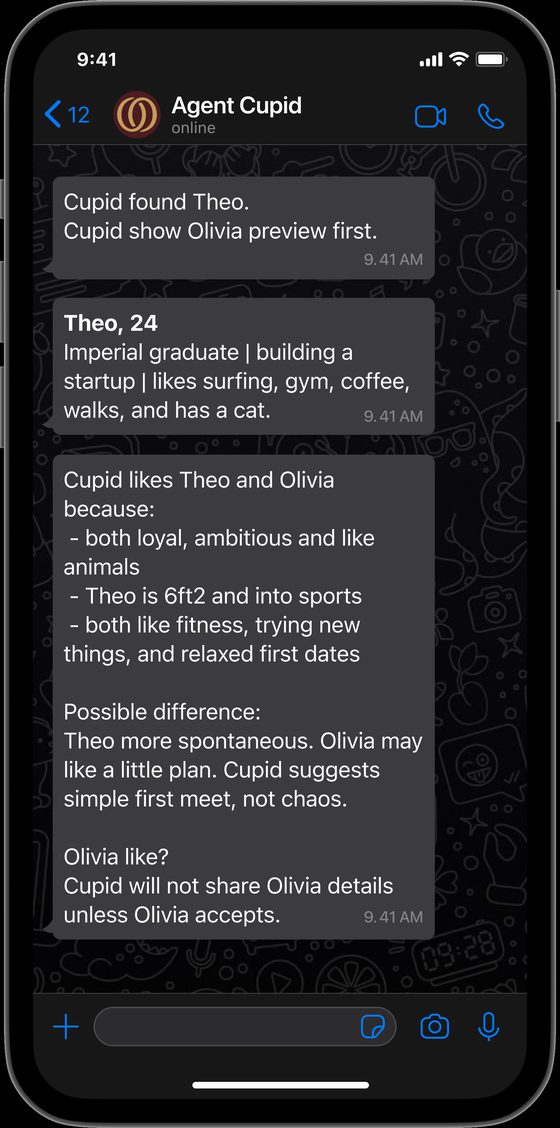 Soul showing a short preview of a match, a few details at a time, and saying it will share nothing of hers unless she accepts