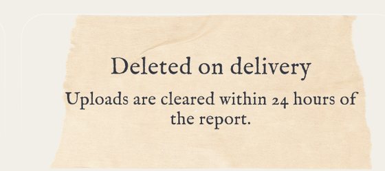 A card on the site reading 'Deleted on delivery. Uploads are cleared within 24 hours of the report.'