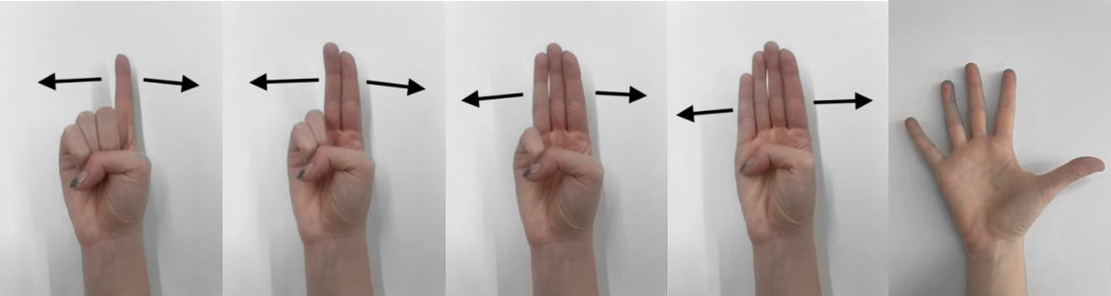 A strip of five photographs of a hand against a grey background: one finger, two fingers, three fingers, four fingers and an open palm, each with a double-headed arrow showing the rotation the gesture controls
