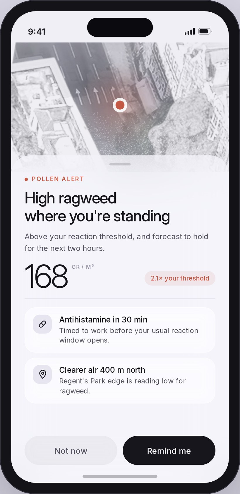The 2026 redesign of the alert screen: a frosted-glass sheet over an aerial map of the street with the user's position marked, headed 'High ragweed where you're standing', with a 168 grains per cubic metre reading marked as 2.1 times the user's threshold, an antihistamine timing row, a cleaner-air suggestion, and Not now / Remind me buttons