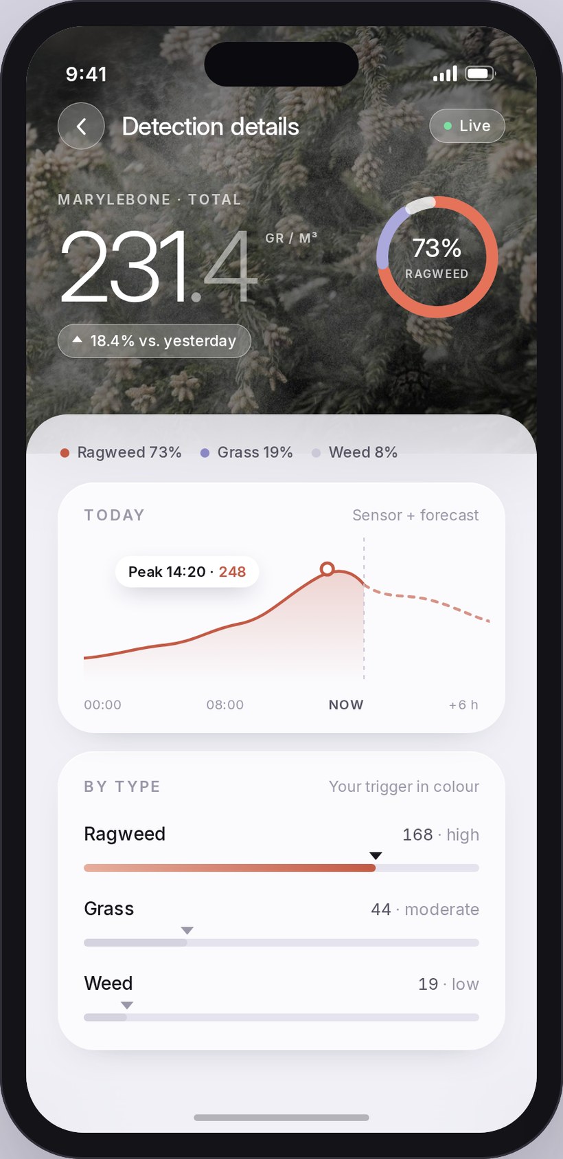 The 2026 redesign of detection details: a photographic header of conifer pollen drifting on the air, carrying an oversized 231 grains per cubic metre reading and the pollen composition ring, over a sheet holding a single day-long chart that runs past NOW into the forecast, and the three pollen types ranked on one shared scale with only the user's trigger in colour