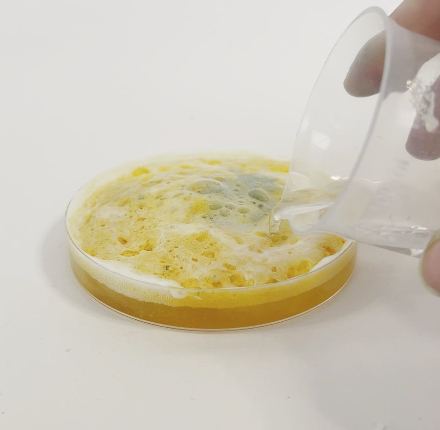 A petri dish of yellow liquid foaming as a clear solution is poured in