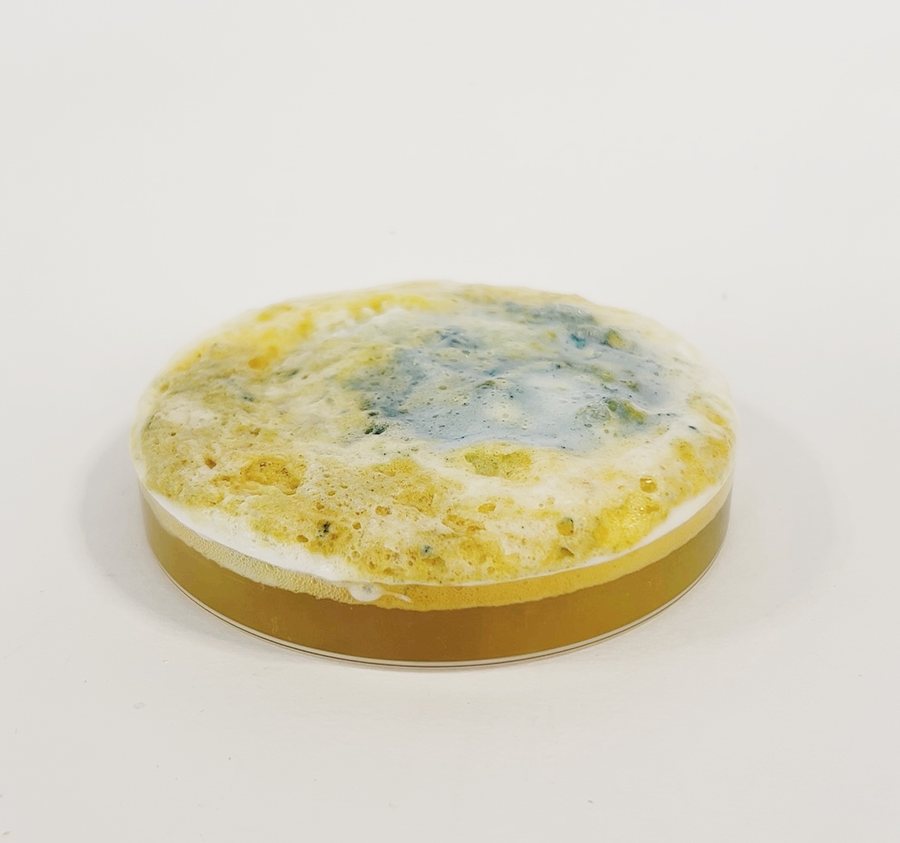 The same reaction run against artificial urine, the liquid turning through to green